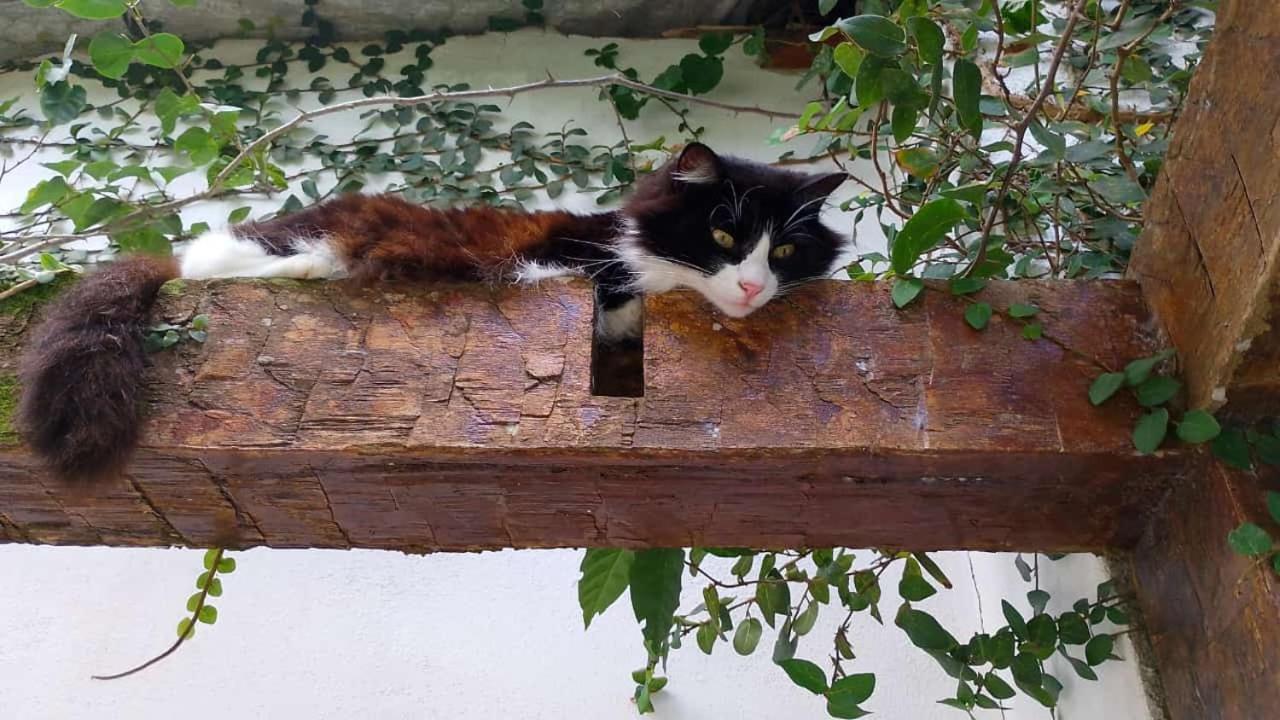 Pousada Buzios Summer Park Экстерьер фото